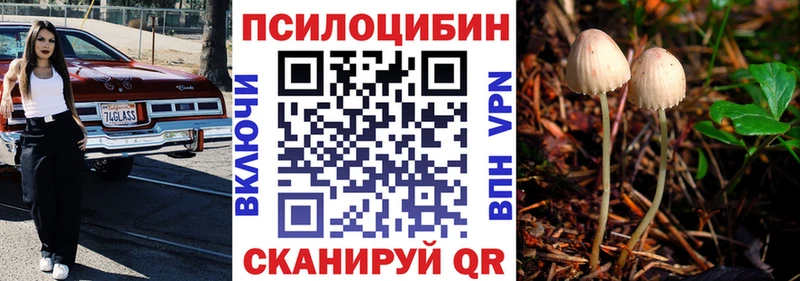 kraken   цена наркотик  Тюмень  Галлюциногенные грибы мицелий 